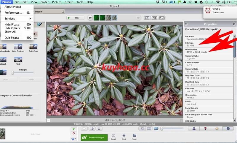 Picasa Photo 2026 Full Version Terbaru