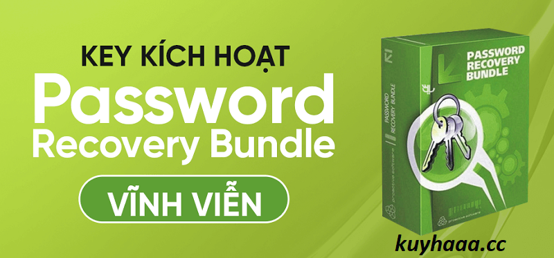 Password Recovery Bundle Enterprise 5.6 Full Terbaru Version