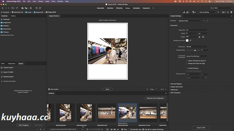 Adobe Bridge CC 2026 Full Terbaru Version