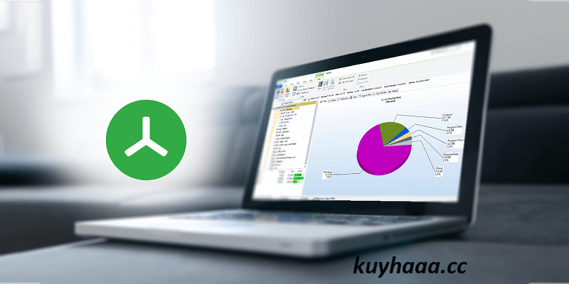 TreeSize Professional 2026 Full Version Terbaru