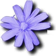 Cloanto C64 Forever